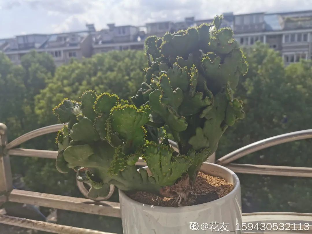 微信图片_20220420101054.jpg 微信图片_20220420101054.jpg