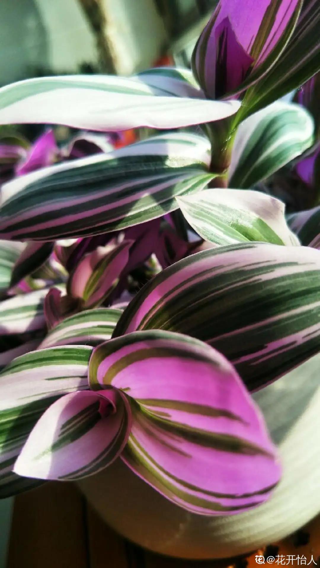 微信图片_20211123155045.jpg 微信图片_20211123155045.jpg