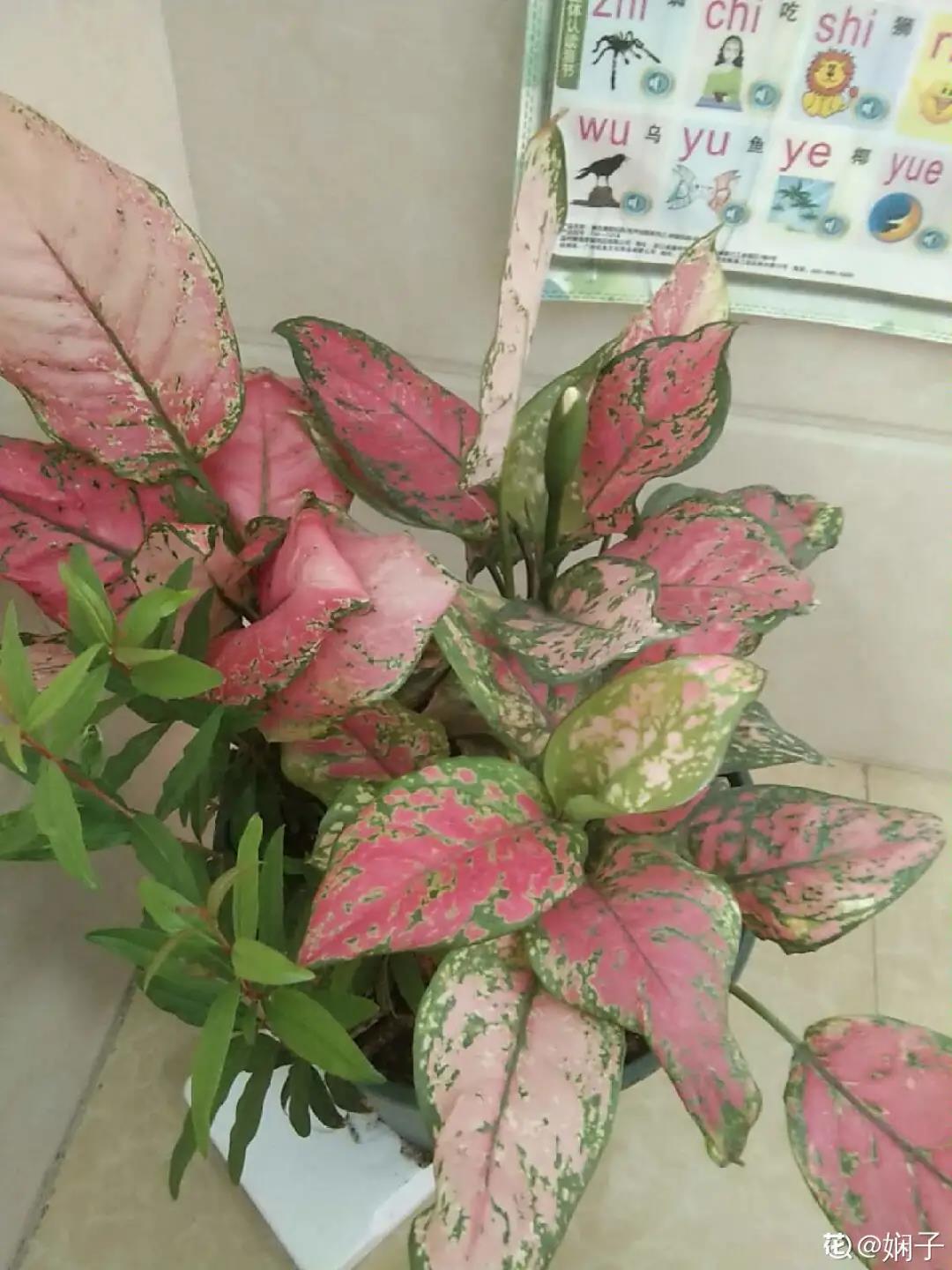 微信图片_20211123155148.jpg 微信图片_20211123155148.jpg