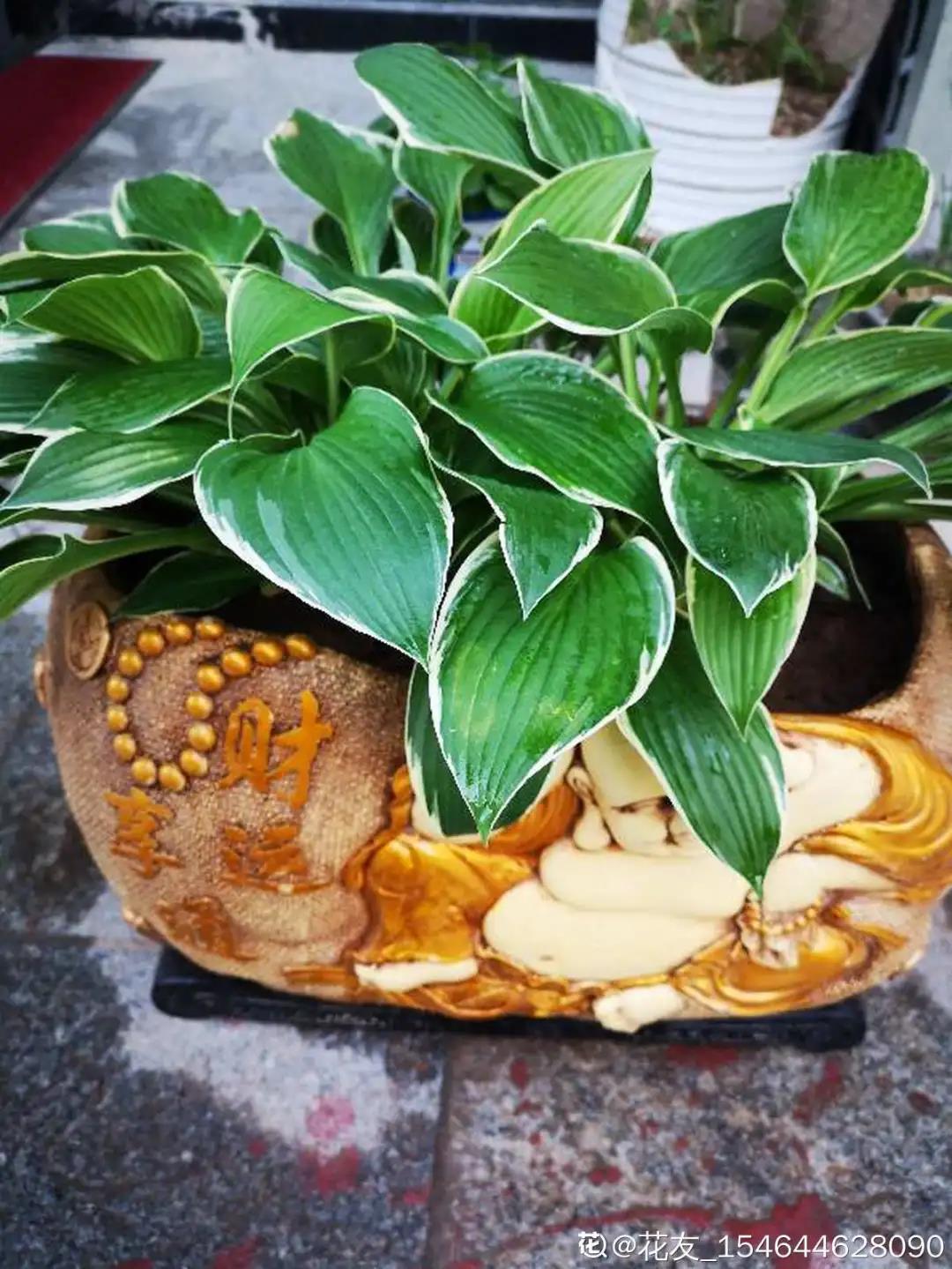 微信图片_20211123155213.jpg 微信图片_20211123155213.jpg