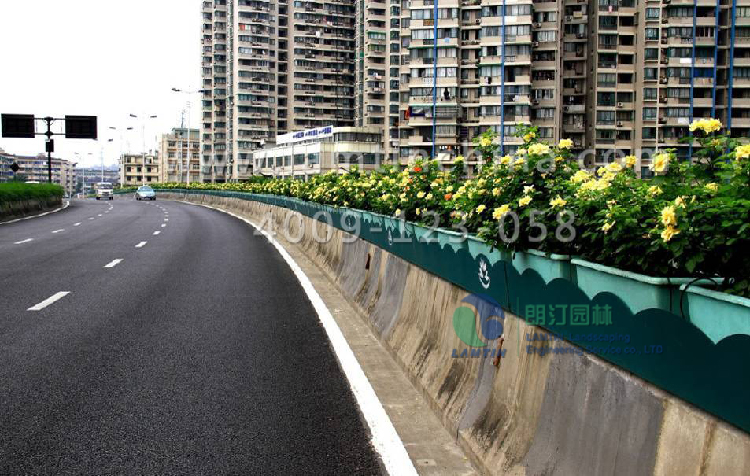 1597977953408653.png 1597977953408653.png