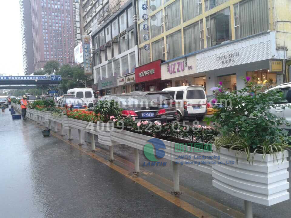 1596528356796169.png 1596528356796169.png